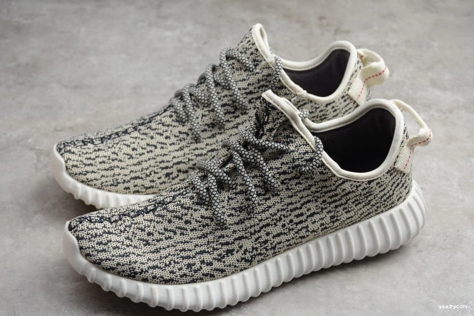 350 Adidas Dove Turtle YEEZY AQ4832 Boost 1001